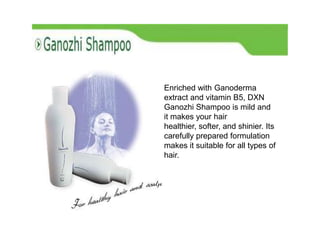 Enriched with Ganoderma
extract and vitamin B5, DXN
Ganozhi Shampoo is mild and
it makes your hair
healthier, softer, and shinier. Its
carefully prepared formulation
makes it suitable for all types of
hair.
 