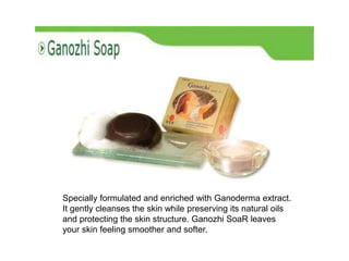 Specially formulated and enriched with Ganoderma extract.
It gently cleanses the skin while preserving its natural oils
and protecting the skin structure. Ganozhi SoaR leaves
your skin feeling smoother and softer.
 