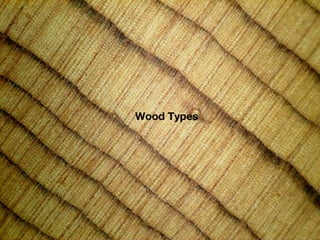 Wood Types
 