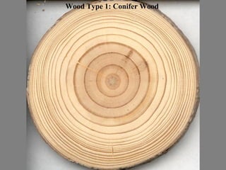 Wood Type 1: Conifer Wood
 