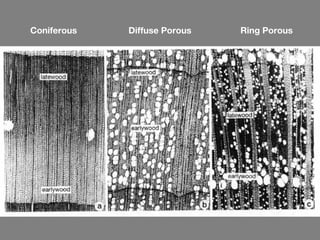 Coniferous   Diffuse Porous   Ring Porous
 