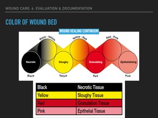 WOUND CARE: 4. EVALUATION & DOCUMENTATION
COLOR OF WOUND BED
WOUND HEALING CONTINUUM
 