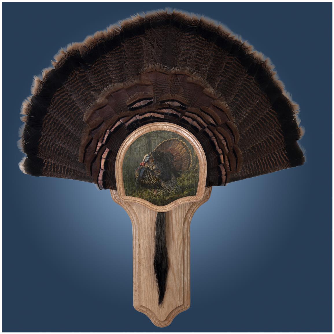 Turkey Fan Mount Template Printable