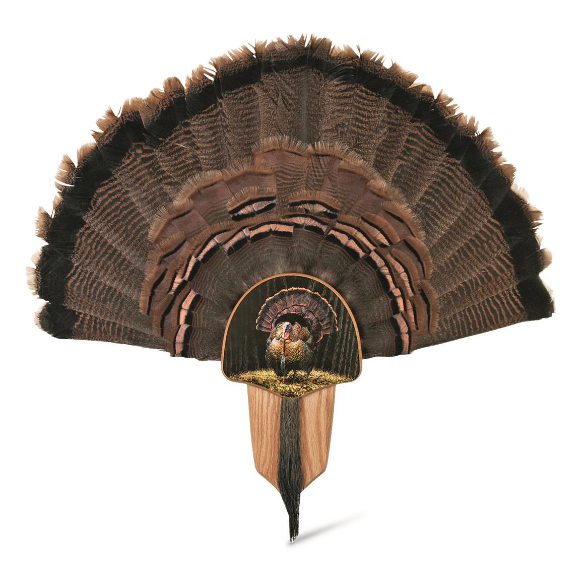 Turkey Fan Mount Template Printable