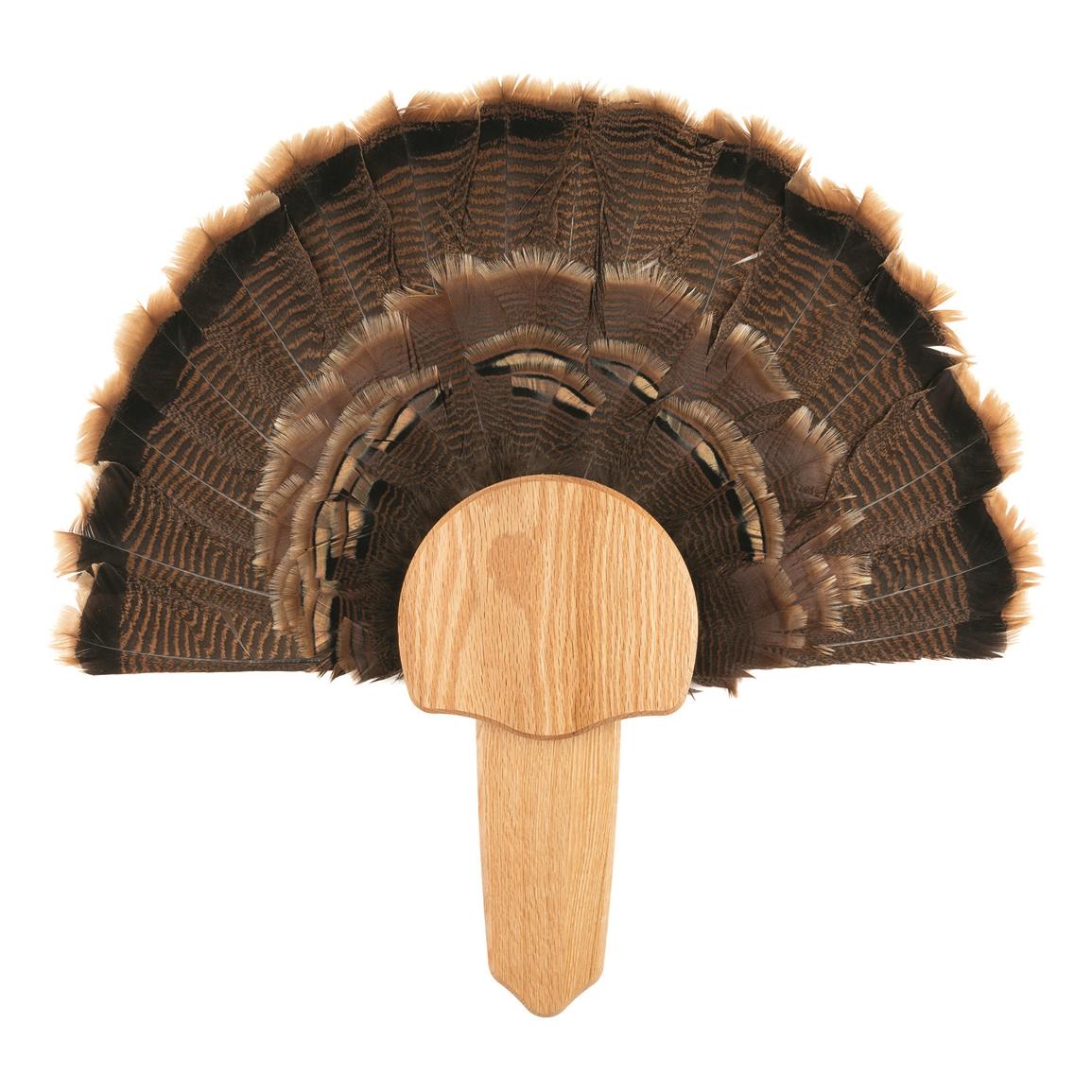 Walnut Hollow Turkey Fan Mount Kit - 739594, Turkey Taxidermy Supplies ...