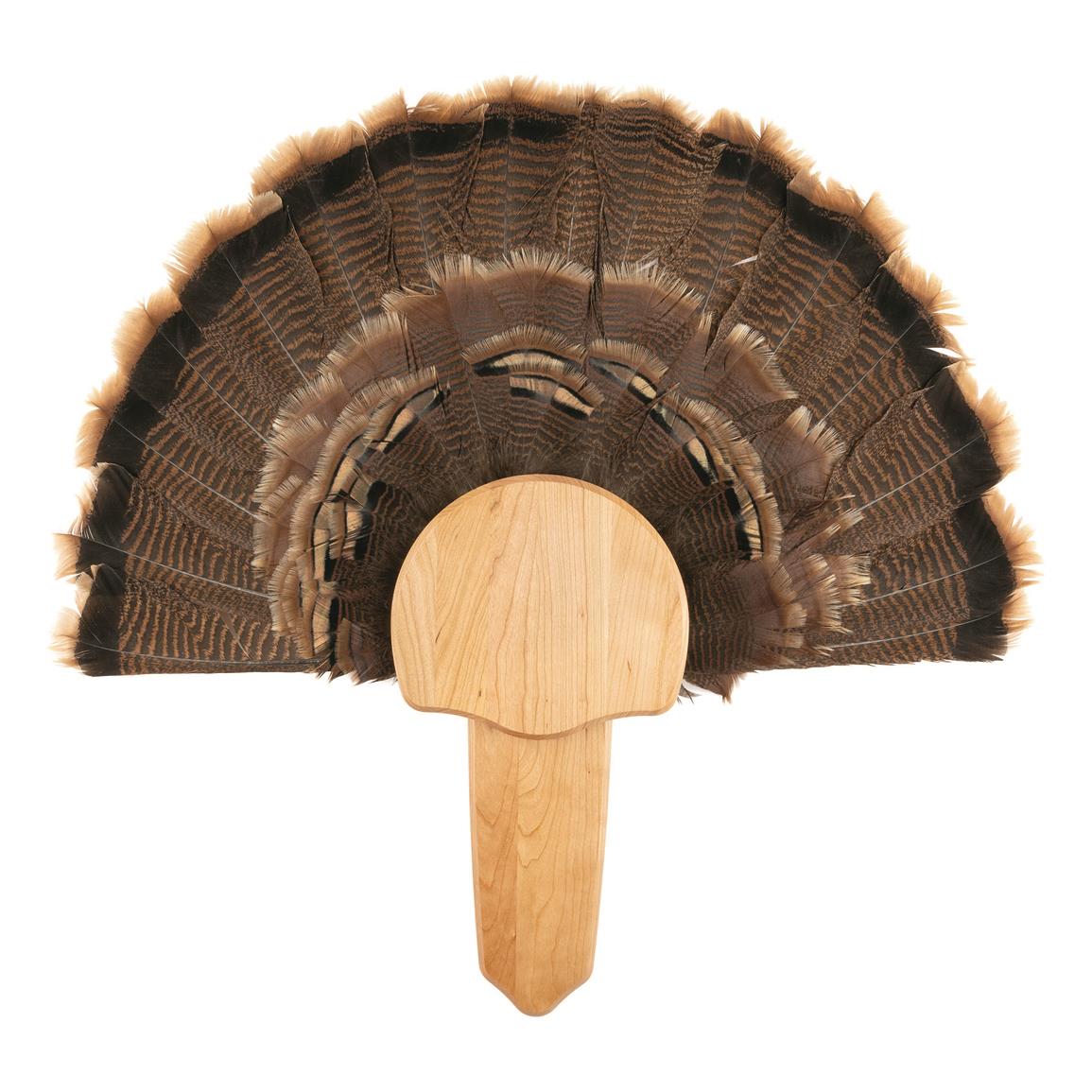 Walnut Hollow Turkey Fan Mount Kit - 739594, Turkey Taxidermy Supplies ...