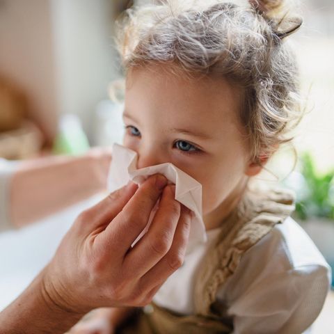 Infekte Kita Kinder: Ein Mädchen hat Schnupfen