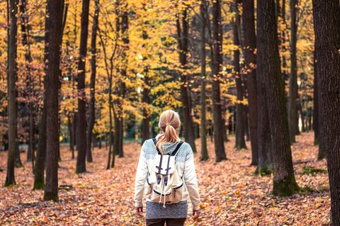 Lust auf einen Wanderurlaub im Herbst?