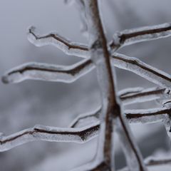 Auf dem Brocken im Harz ist bereits der Winter eingezogen