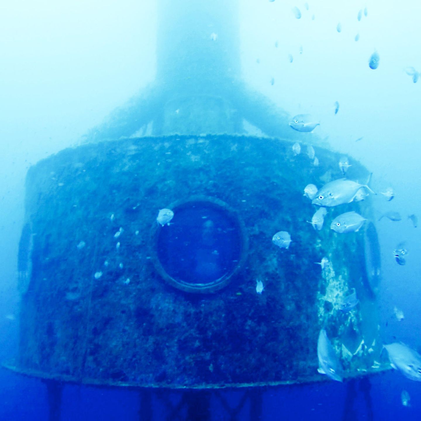 120 Tage unter Wasser: Deutscher bricht Weltrekord