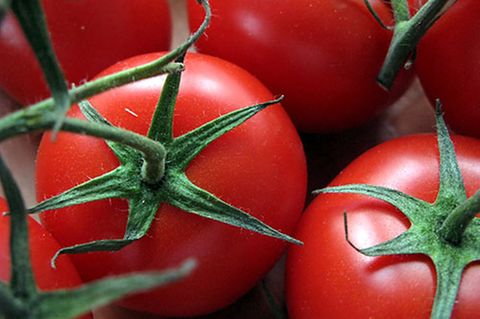 Mächtig gesund durch Vitamine und sekundäre Pflanzenstoffe: die Tomate