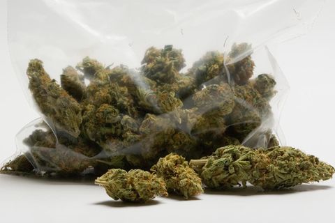 Cannabis – Berichte von spektakulären Behandlungserfolgen