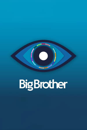 Image Big Brother