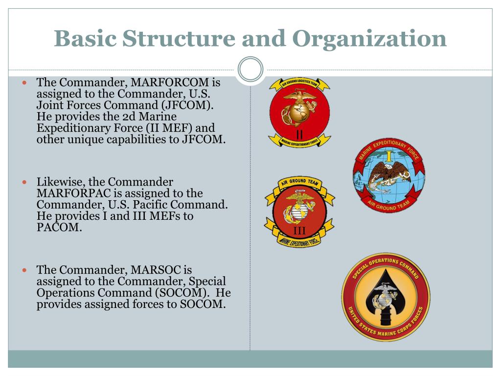 Marine Corps Force Structure