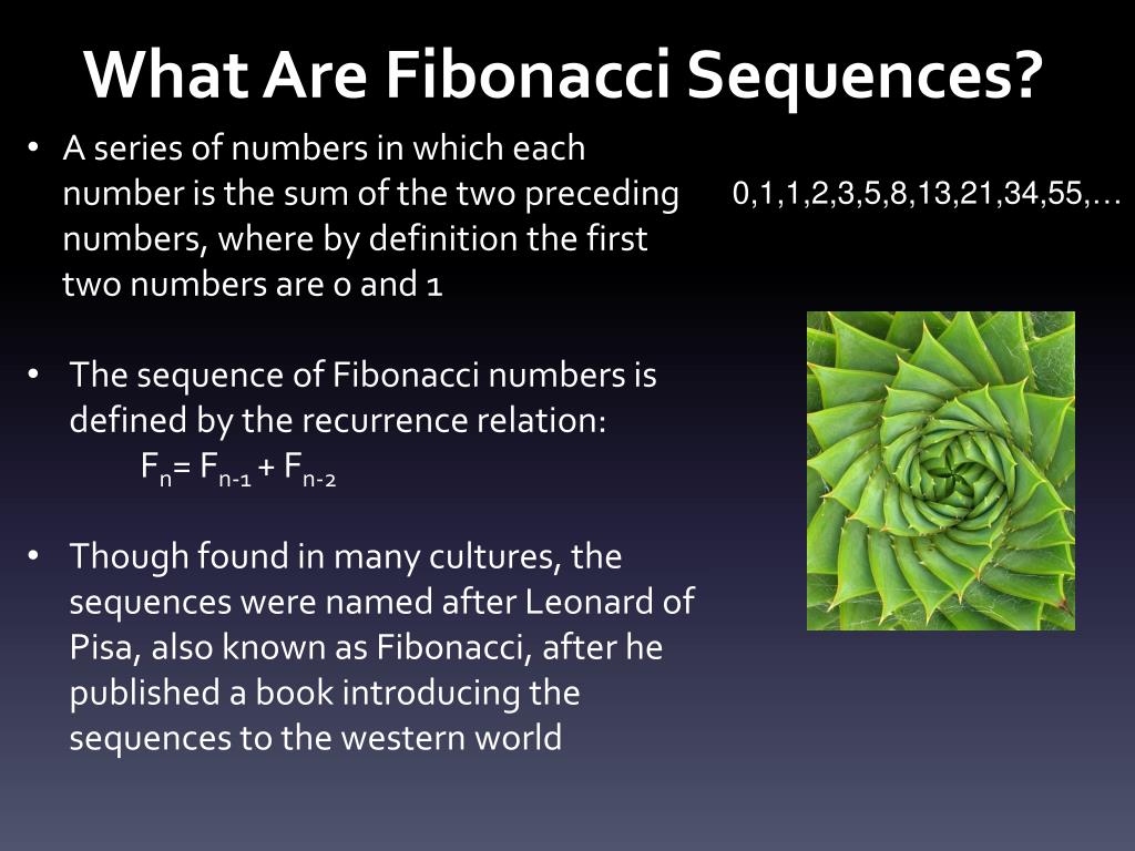 Example of fibonacci sequence in nature - litywebhosting