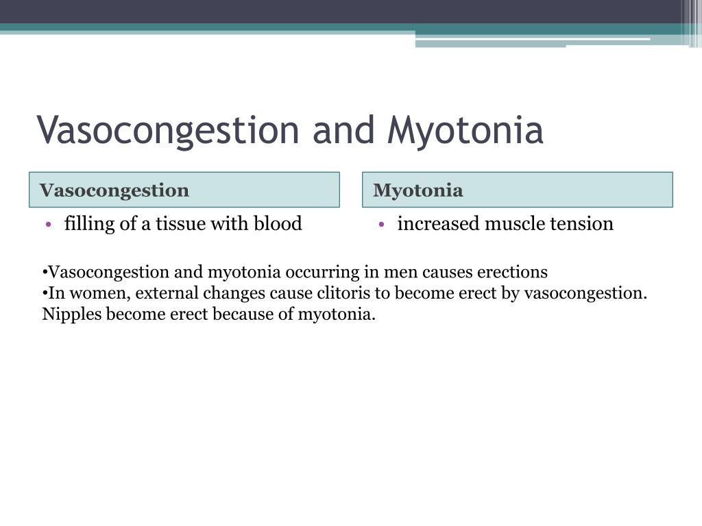 PPT - Reproductive System PowerPoint Presentation, free download - ID ...