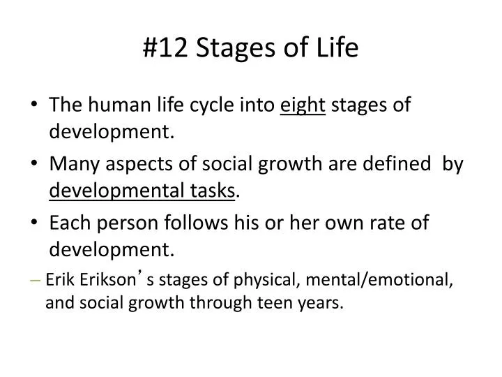 Pictures Of Human Life Cycle Stages