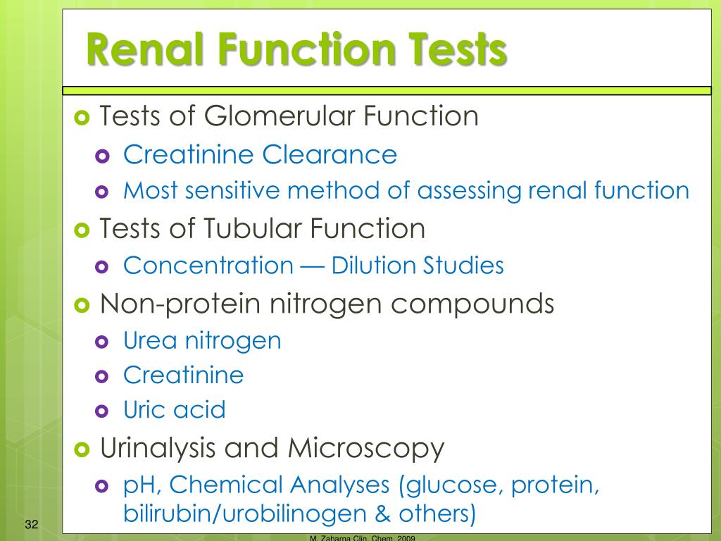 PPT - The Renal Function PowerPoint Presentation, free download - ID ...