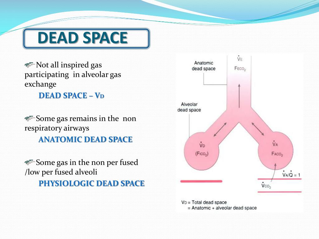 What is dead space lungs - qosasell