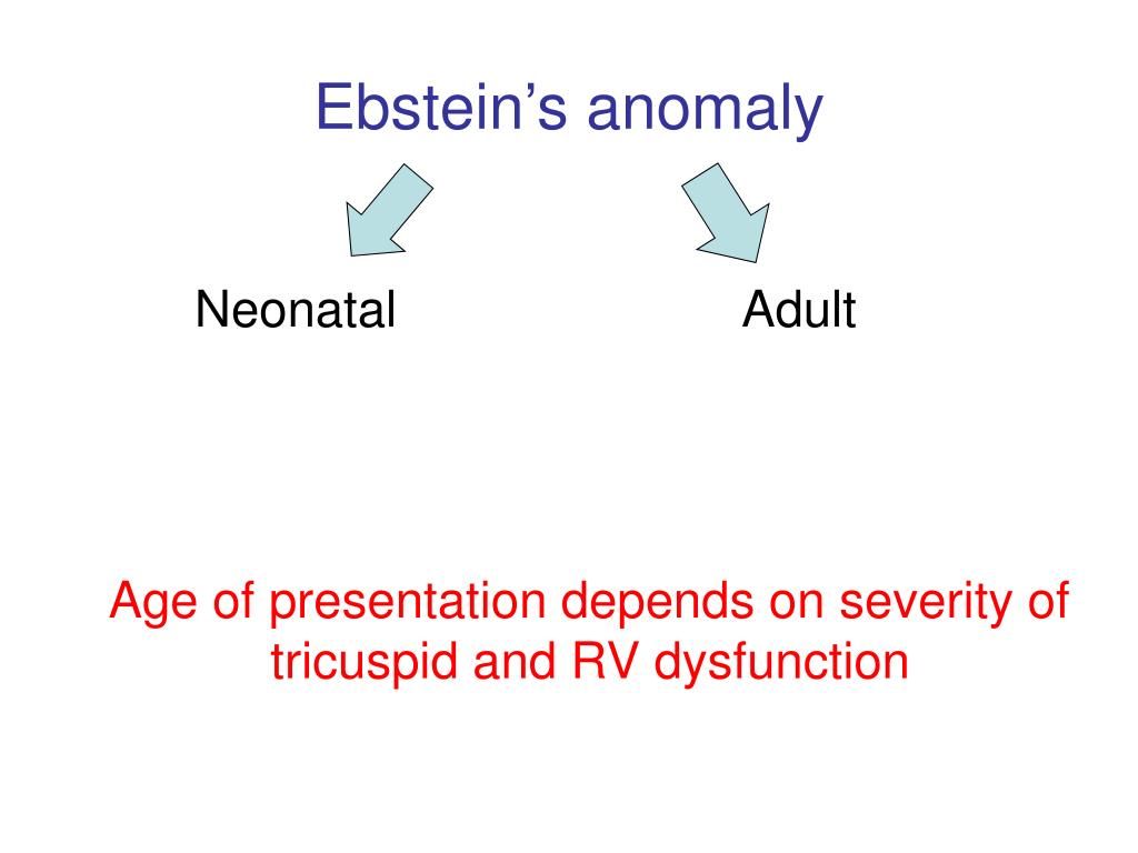 PPT - Ebstein’s anomaly PowerPoint Presentation, free download - ID:3425064 image.