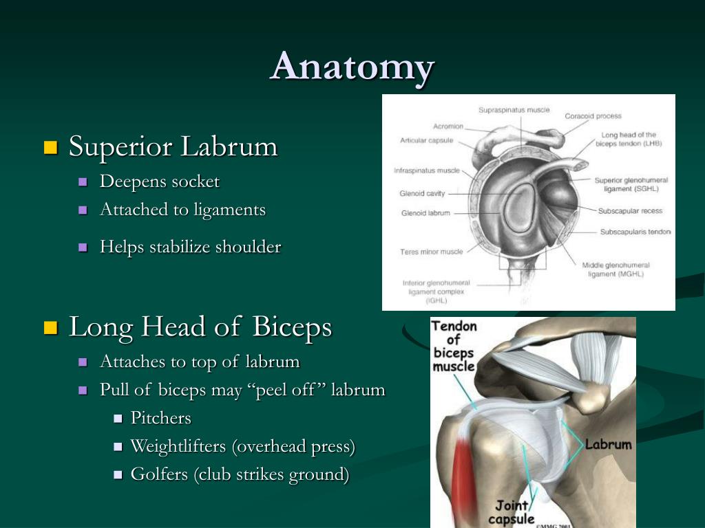 Dr Carlos Godoy Lesiones Tipo Slap Superior Labrum An - vrogue.co