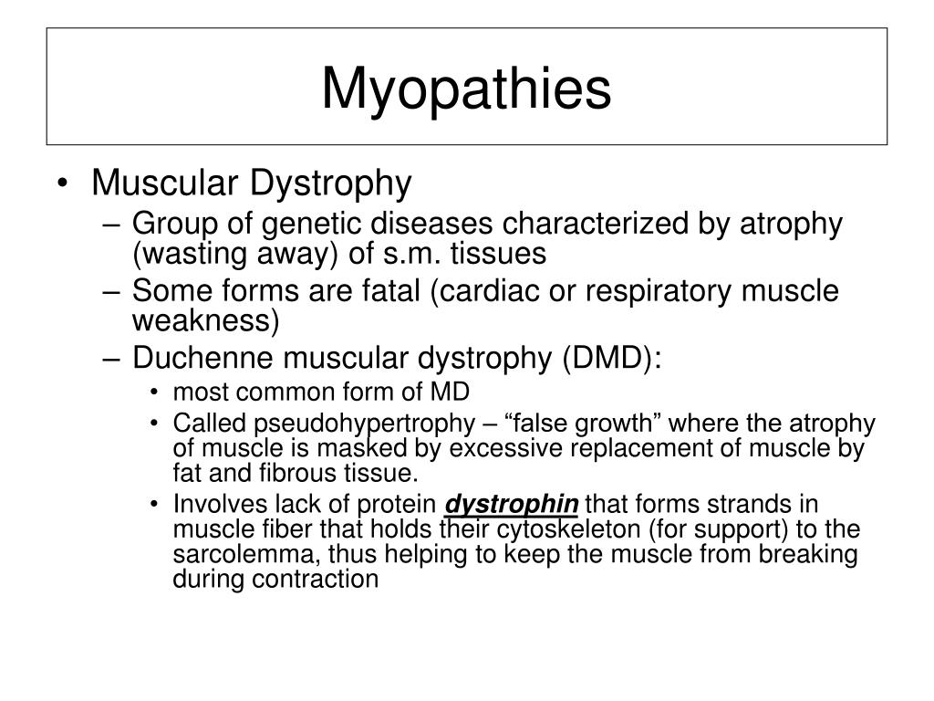 PPT - Muscular System PowerPoint Presentation, free download - ID:4504250