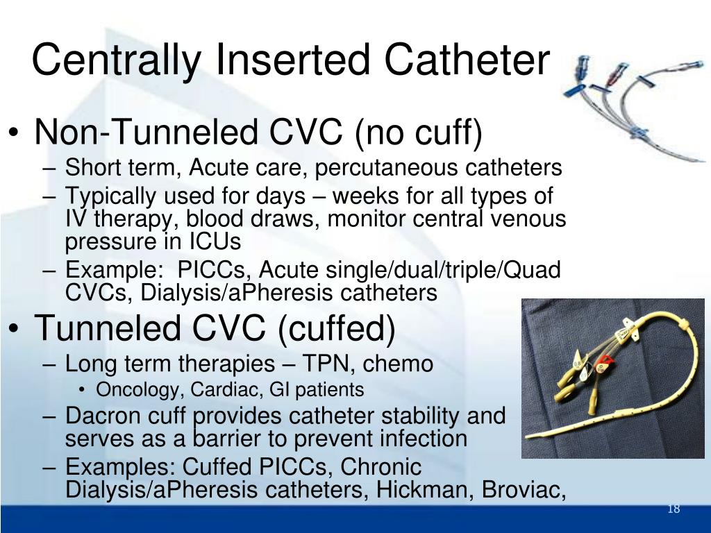 Ppt Vascular Access At Musc Powerpoint Presentation Free Download ...