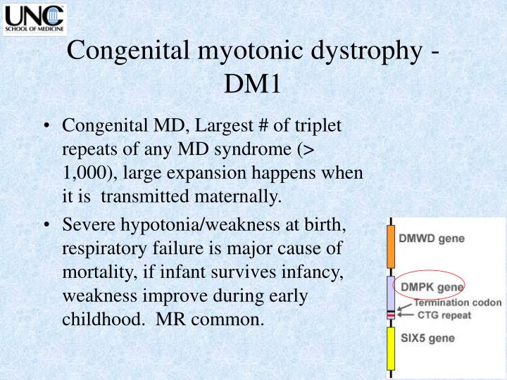 PPT - Pediatric Neurogenetics PowerPoint Presentation - ID:4699052