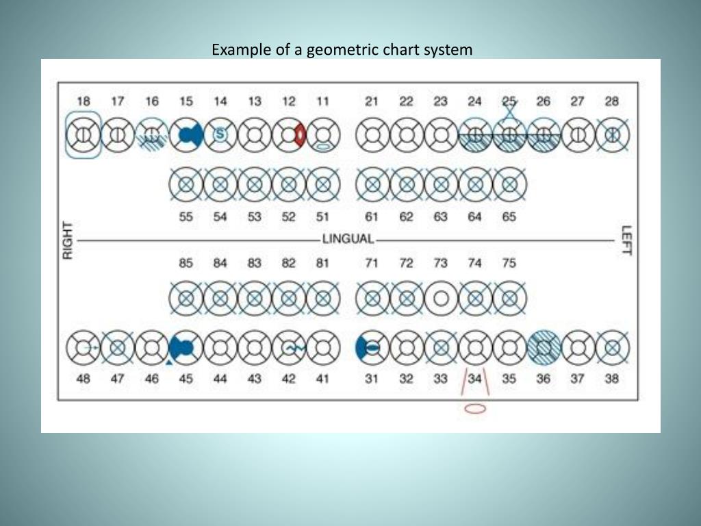 Dental Chart Svg at Robert Ingram blog