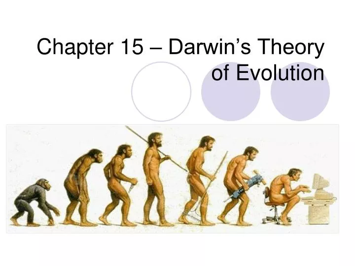 Darwin's Theory Of Evolution Diagram