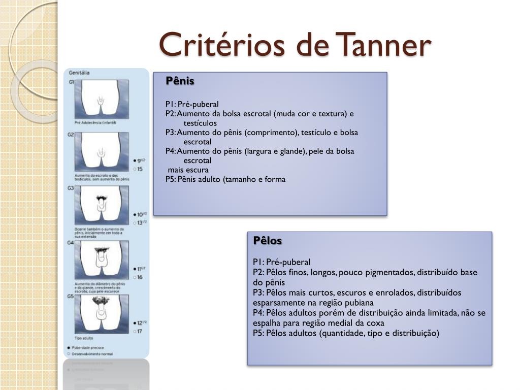 Escala De Tanner Masculino