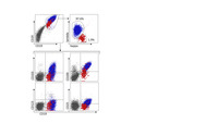 Flow cytometry