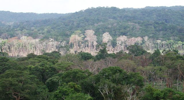 Nasa Finds Amazon Drought Leaves Long Legacy Of Damage Climate Change Vital Signs Of The Planet