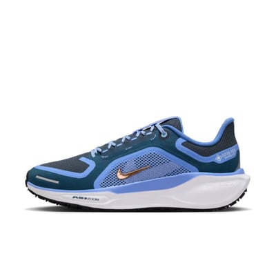 Nike Pegasus 41 GORE-TEX FQ1357-400