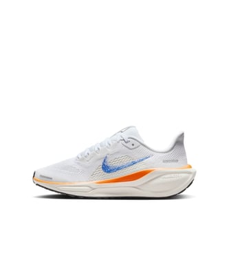 Nike Pegasus 41 HM4820-100