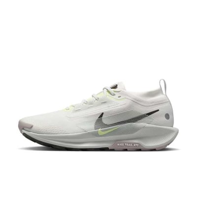 Nike Pegasus Trail 5 GORE-TEX FQ0908-102