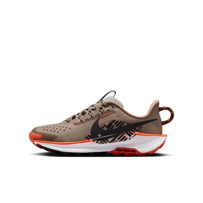 Nike Pegasus Trail 5 FV5638-200