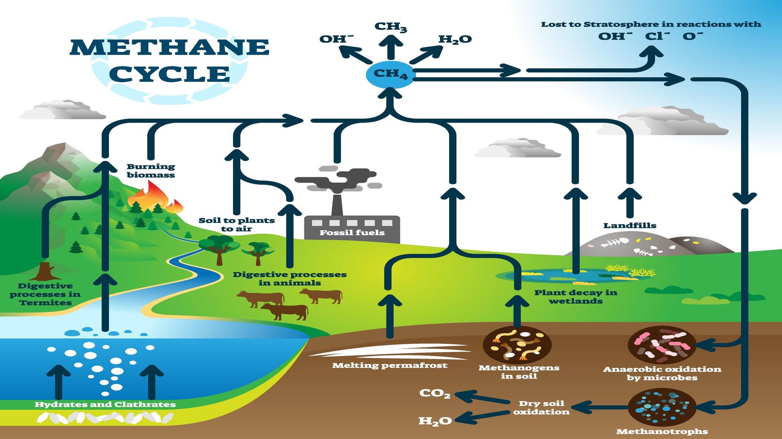 Methane Eating Microbes - A Novel Solution For Greenhouse Gas Mitigation