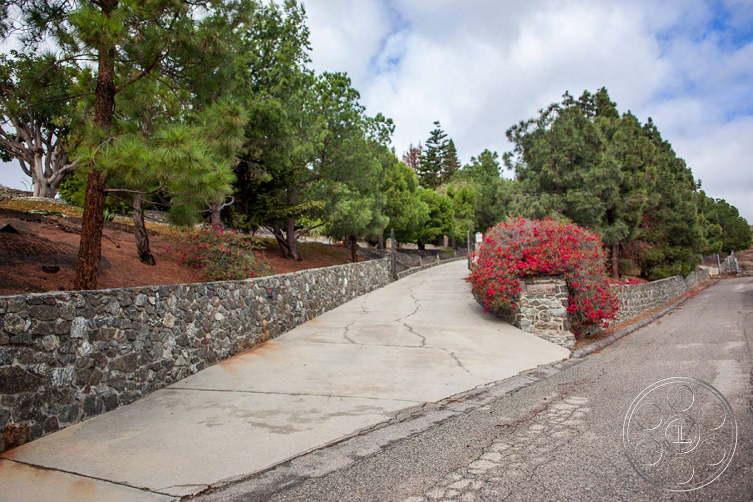 Mansion 83 - road, outdoors, flagstone, tree, path, garden, arbour, slate, conifer