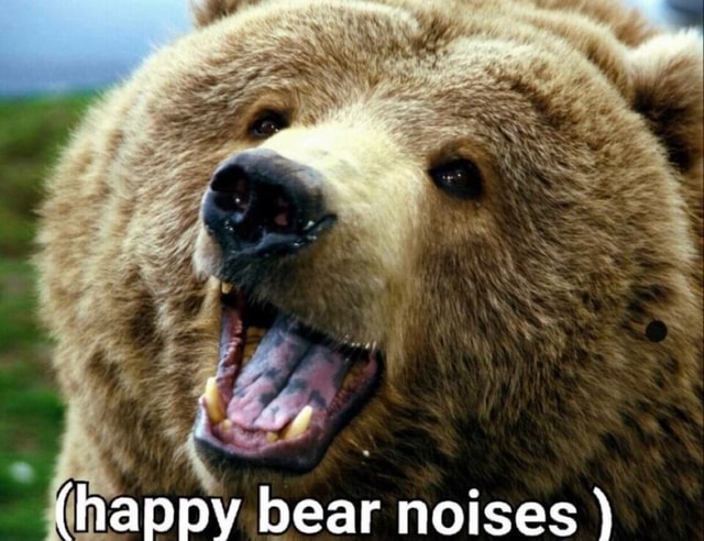 happy bear noises) - iFunny Brazil