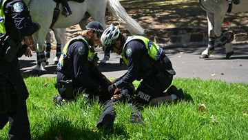 ADELAIDE, AUSTRALIA - JANUARY 26: Members of the National Socialist Network (NSN) are arrested as they hold in the East2 Parklands a counter protest on North Terrace on January 26, 2025 in Adelaide, Australia. Australia Day, formerly known as Foundation Day, is the official national day of Australia and is celebrated annually on January 26 to commemorate the arrival of the First Fleet to Sydney in 1788. Many indigenous Australians refer to the day as &#x27;Invasion Day&#x27; and there is a small but growi