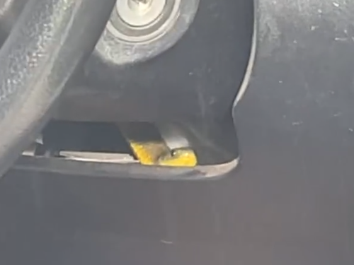 Barefoot driver's close encounter with a deadly tiger snake