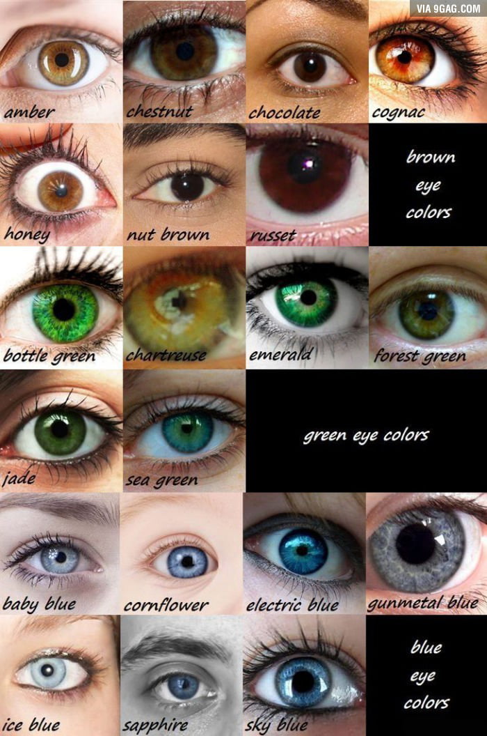 What color eyes do you have? - 9GAG