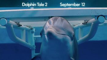 Dolphin Tale 2