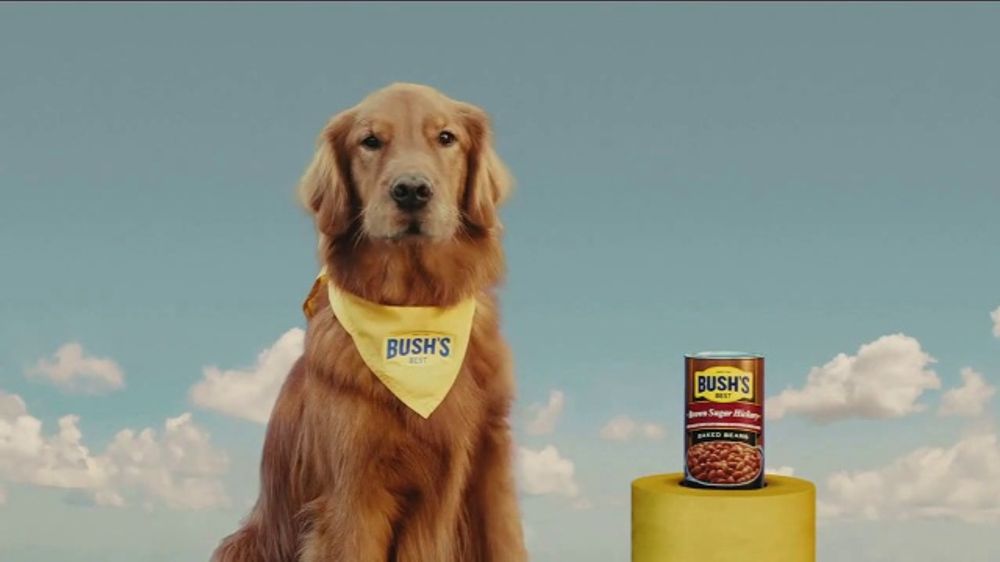 Bush's Best Brown Sugar Hickory TV Spot, 'Bean Summer' Song by Cheap