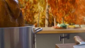 Arby's Deep Fried Turkey Sandwich TV Spot, 'Love Life'