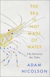 The Sea is Not Made of Water: Life Between the Tides