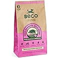 Beco Wild Boar with Broccoli and Pumpkin - 6kg - Natural & Grain Free Complete Dry Dog Food