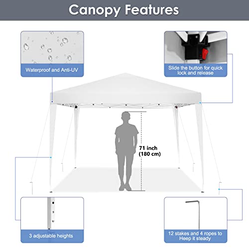 Tooluck Canopy 10x10 Pop Up Canopy Canopy Tent with 4 Sides, Fully ...