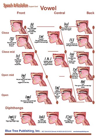 Speech Articulation Chart